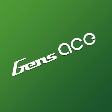 GENS ACE BATTERIES